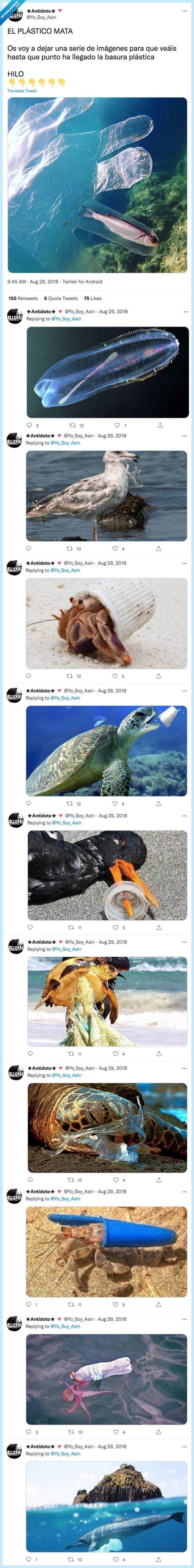 imágenes,plástico,basura