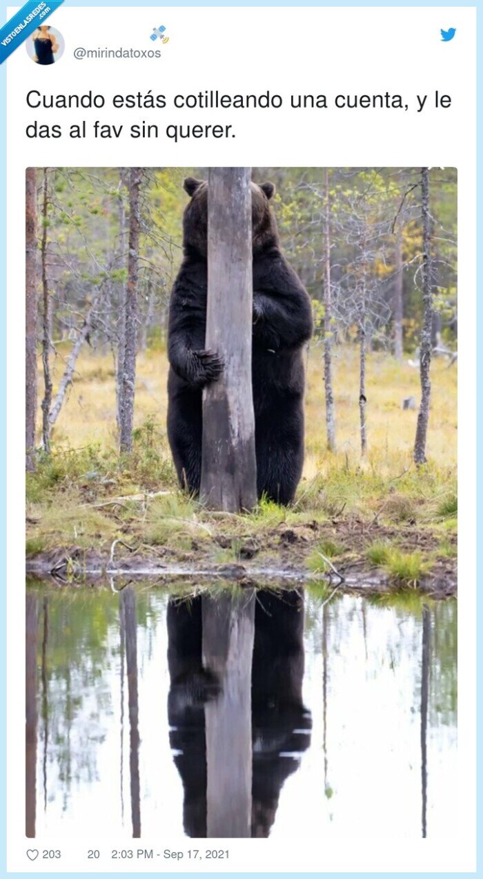 cotillear,cuenta,fav