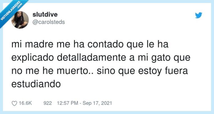 detalladamente,estudiar,explicar,gato,madre