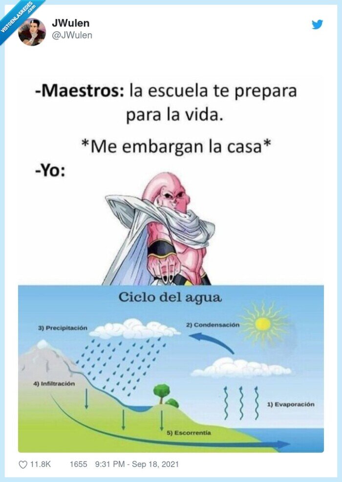 embargo,colegio,preparación,vida