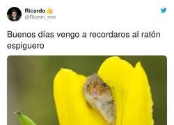 Enlace a El último tiene un paraguas, por @Ricmm_mm