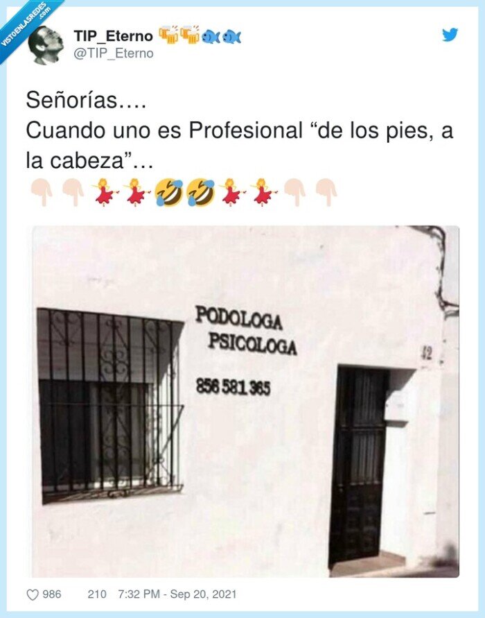 profesional,podologa,psicologa