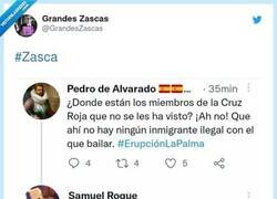 Enlace a ZAS, por @GrandesZascas