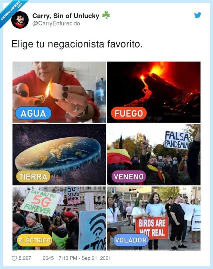 negacionista,favorito,elegir