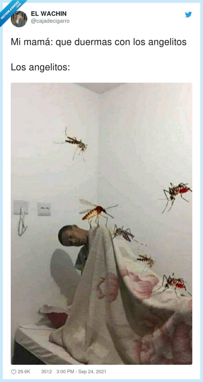 angelitos,dormir,mosquitos,mamá