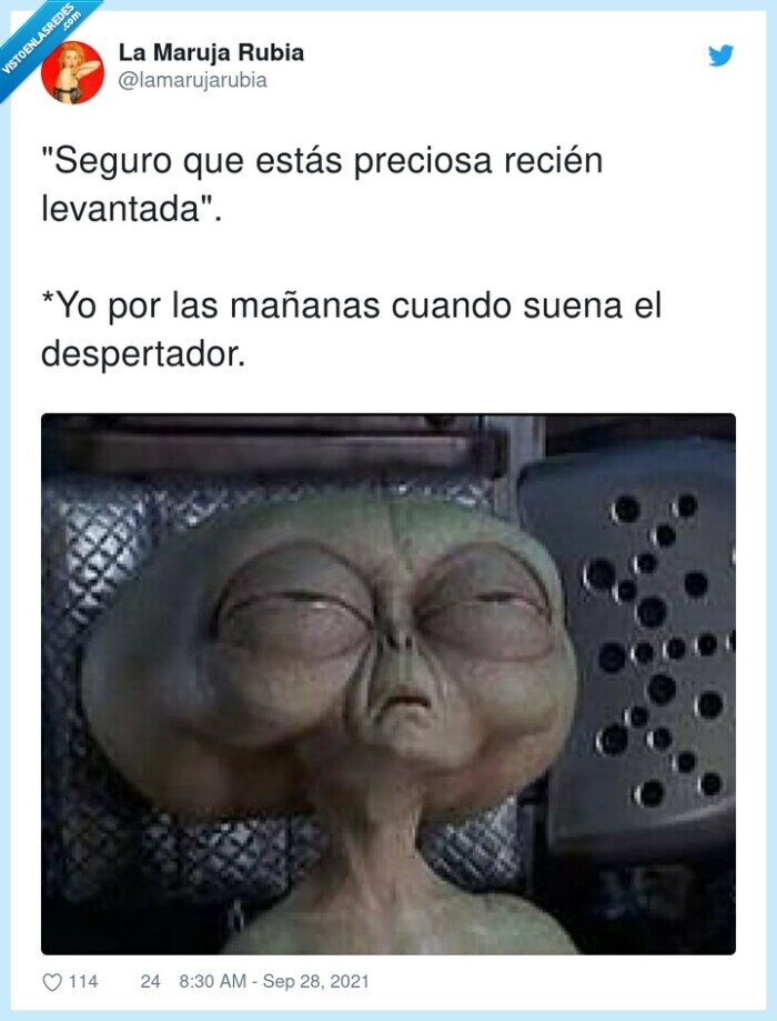 despertador,levantarse,extraterrestre