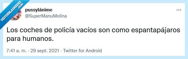 policía,coche,espantapájaros,vacío