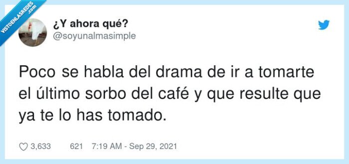 tomar,último,cafe,sorbo,drama