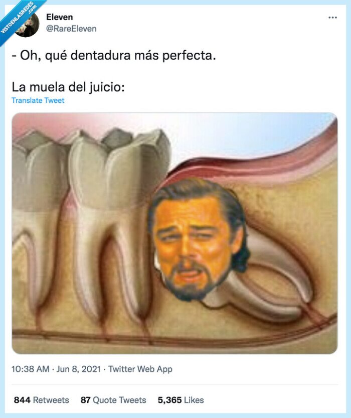 dentadura,perfecta,juicio,muela,leonardo di caprio
