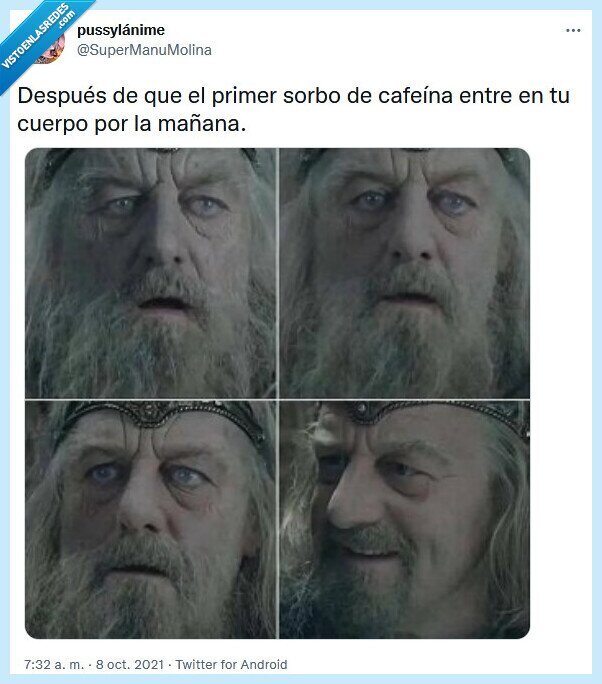 sorbo,café,mañana,cuerpo,cafeina