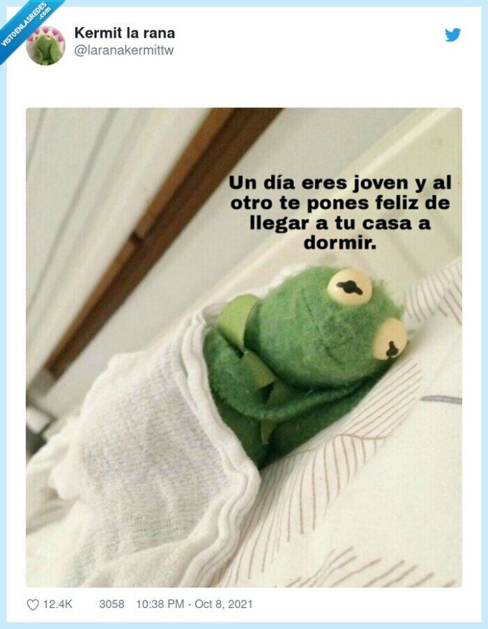 gustavo,camar,dormir