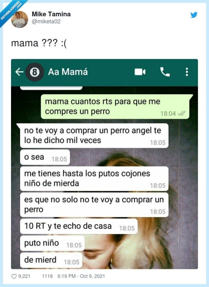 madre,calle,perro,pedir,whatsapp