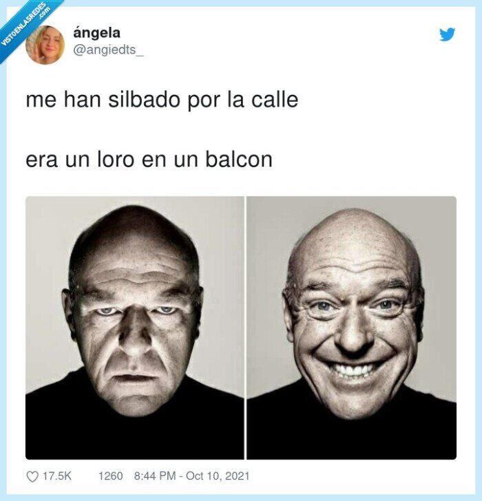 silbado,balcon,calle,loro