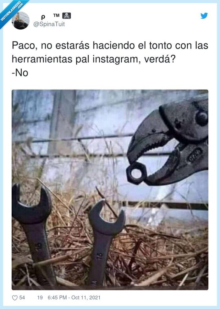 herramientas,instagram,paco,tonterías,pájaros