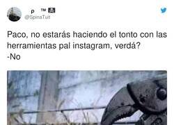 Enlace a ¡Pero mira qué bonito! por @SpinaTuit