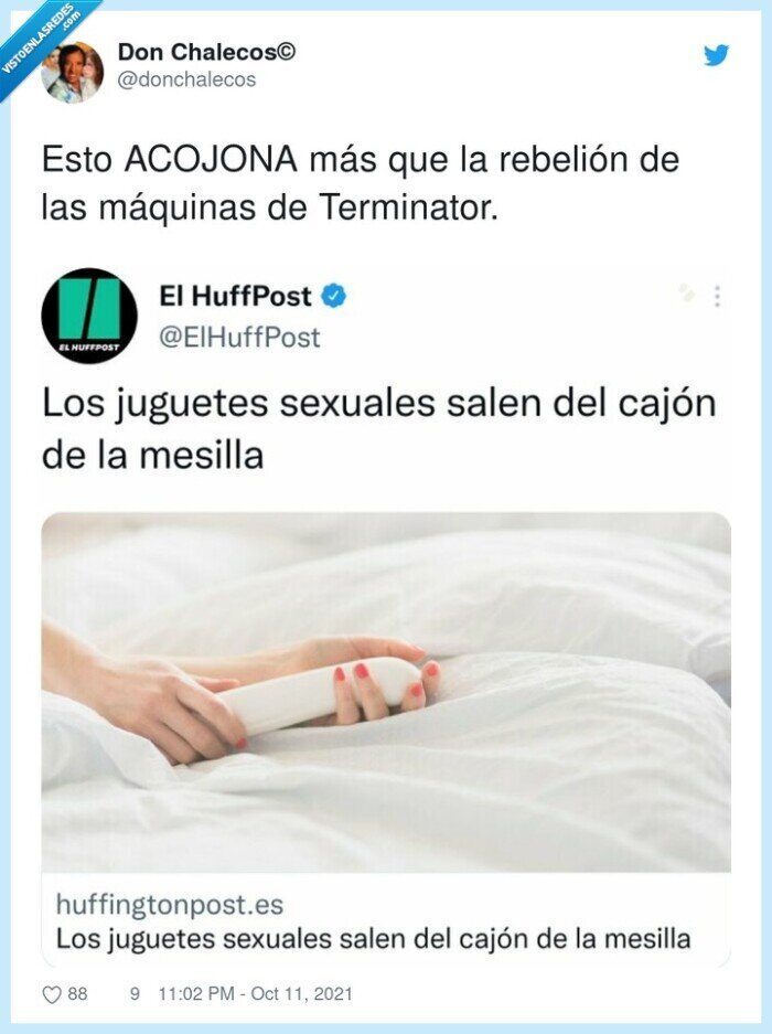 terminator,máquinas,rebelión,juguetes sexuales