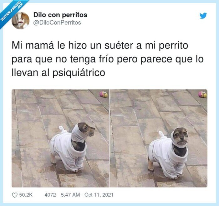 psiqui&aacute;trico,su&eacute;ter,perrito,llevar