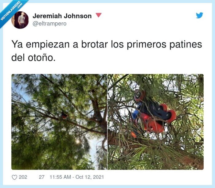 empiezan,primeros,patines,brotar,otoño