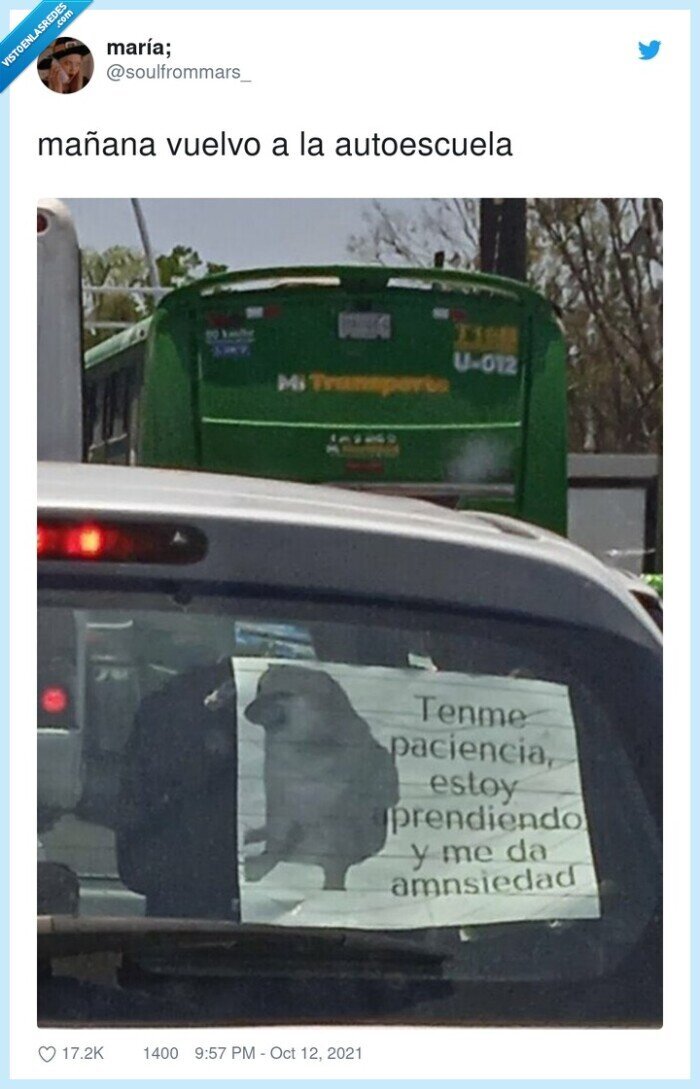 autoescuela,mañana,vuelvo,cheems,doge