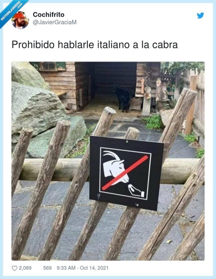 prohibido,hablarle,italiano,cabra