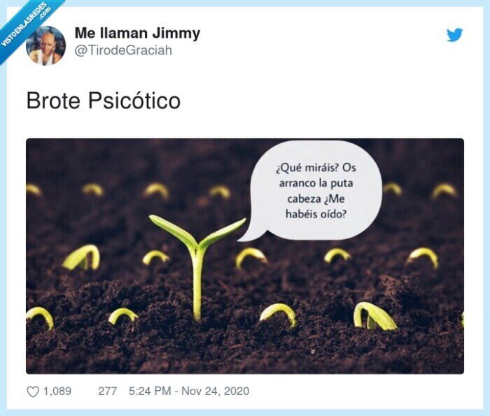 1005995 - Brote, psicótico, por @TirodeGraciah