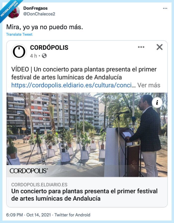 concierto,plantas,festival,artes lumínicas