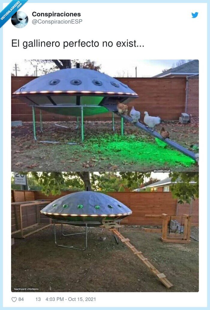 gallinero,perfecto,existir