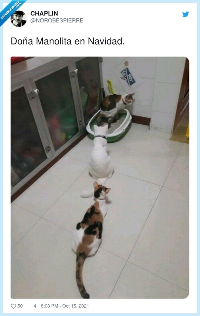 doña manolita,navidad,cola,lotería