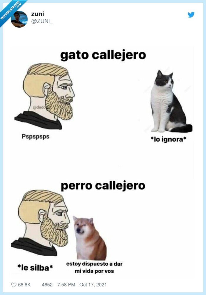 gatos,perros,pasar,ignorar