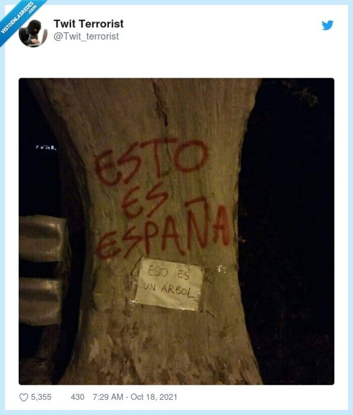árbol,españa,cartel,nota,tronco