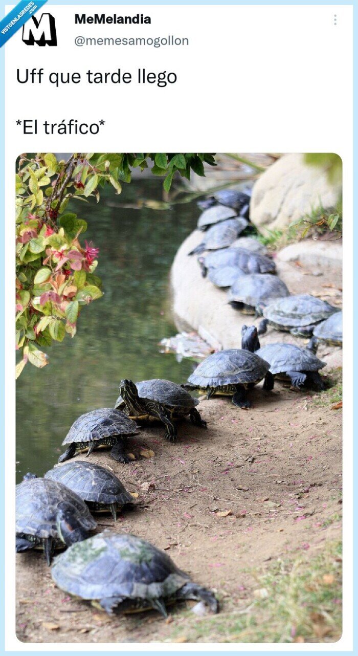 Tráfico,lento,prisa