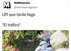 Enlace a Cuanta más prisa, peor, por @memesamogollon