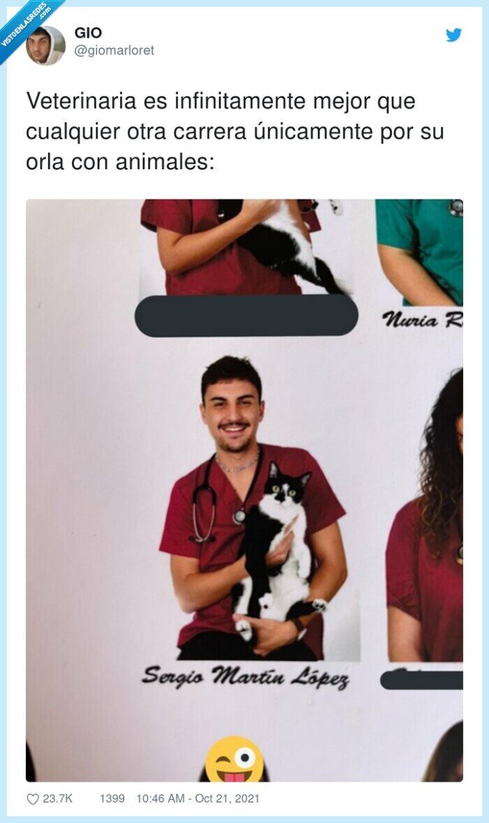 infinitamente,veterinaria,orla,animales,carrera