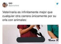 Enlace a La cara del Michi, en plan 