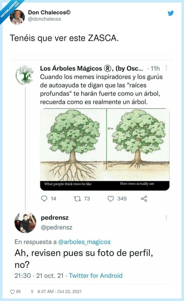 zasca,raíces,árboles