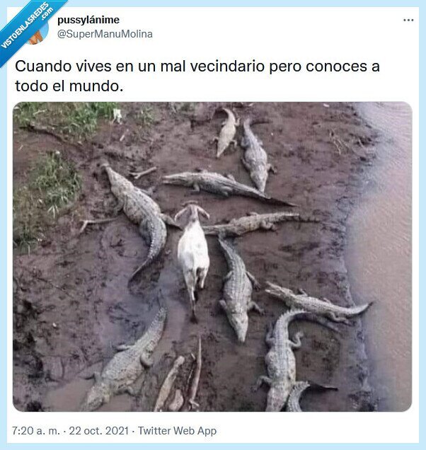 vecindario,mal,conocer