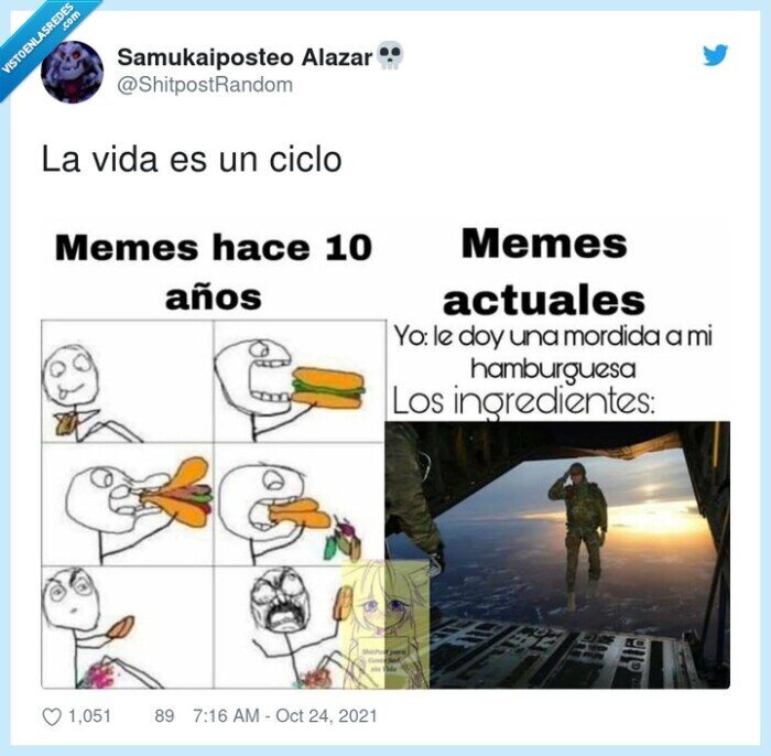 memes,ciclo,evolución,hamburguesa