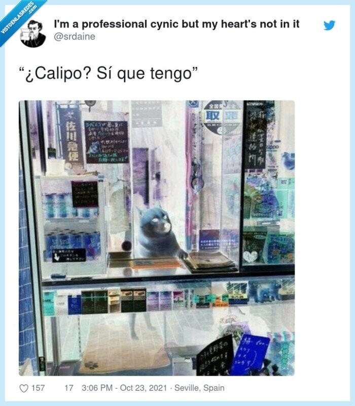 calippo,sí,tienda,perro,meme,evil