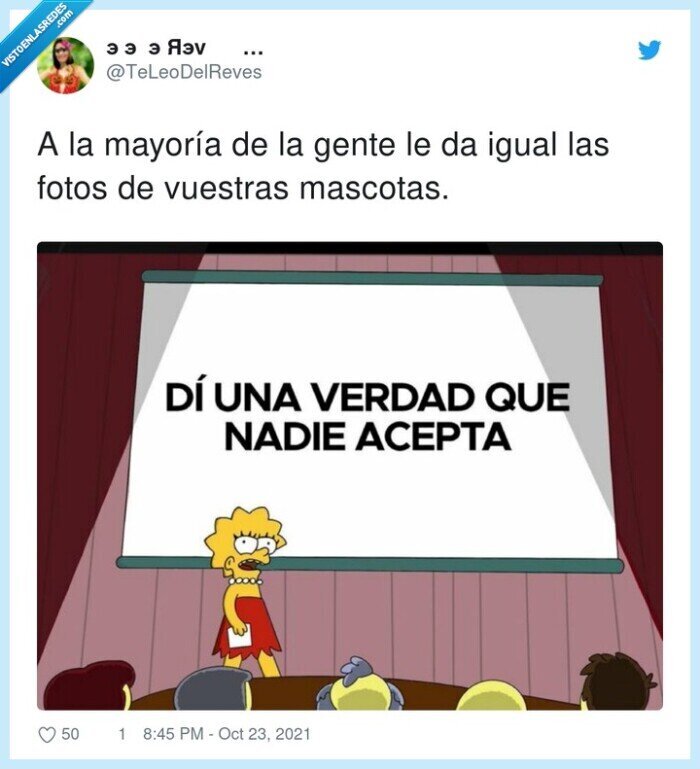 mayoría,da igual,mascotas,fotos