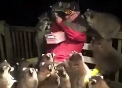 Enlace a Así también hago yo amigos, por @AnimalViral
