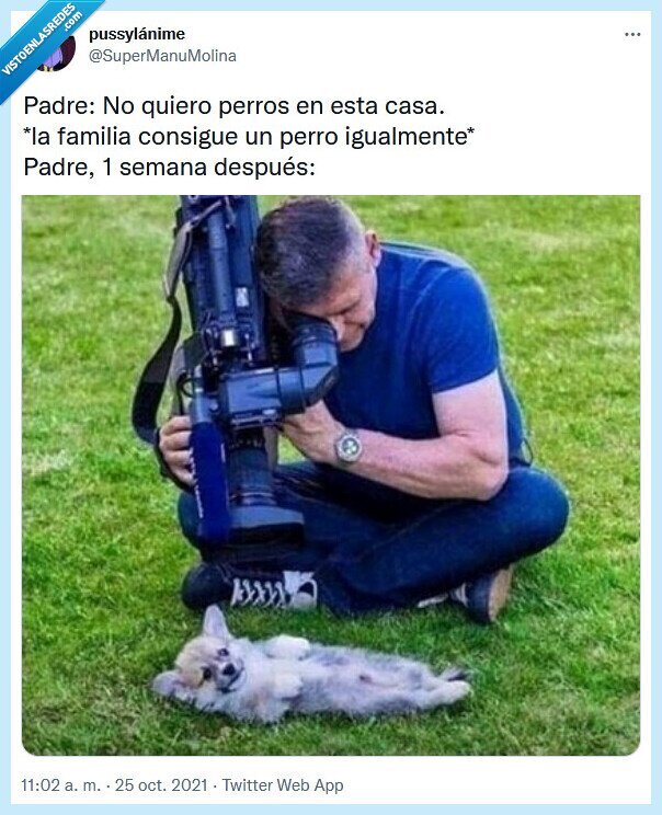 perro,padre,familia