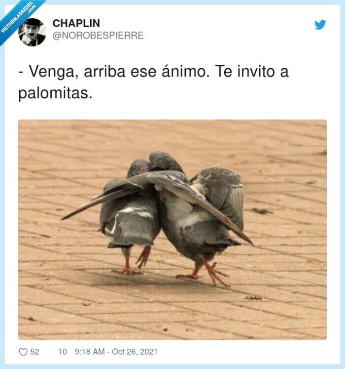 palomitas,palomas,arriba,ánimo