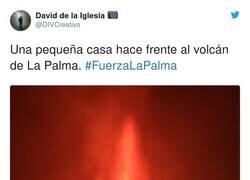 Enlace a Tremenda instantánea, por @DIVCreativo