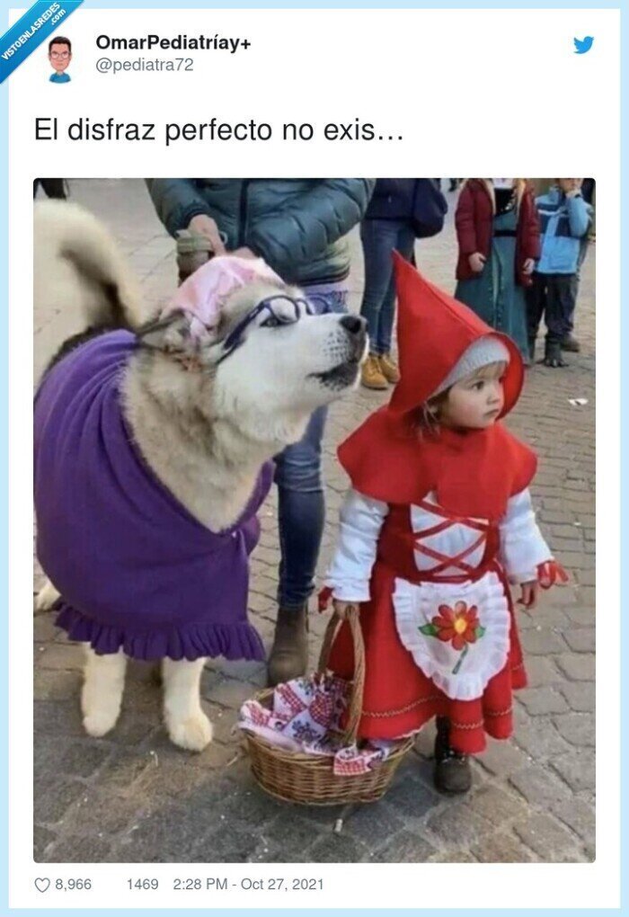 perfecto,disfraz,caperucita,lobo,perro