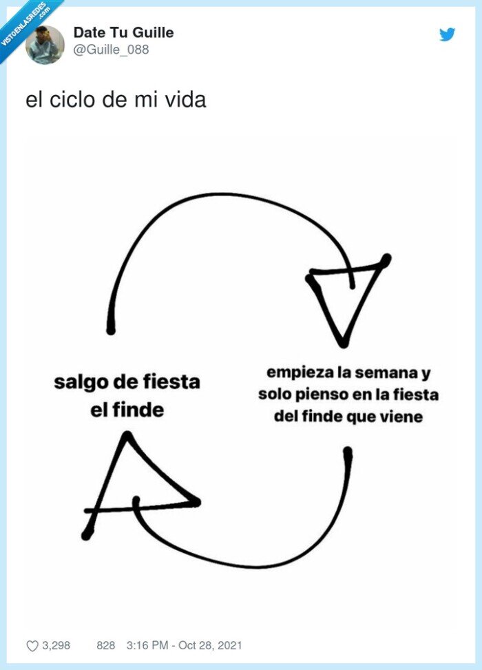 ciclo,vida,salir,fiesta