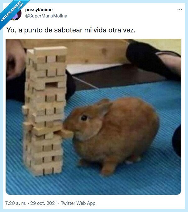 sabotear,vida,otra vez