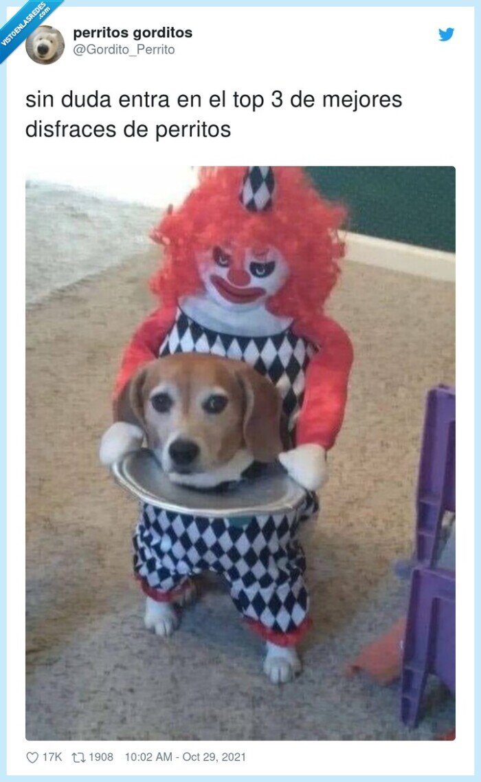 disfraces,perritos,mejores,payaso