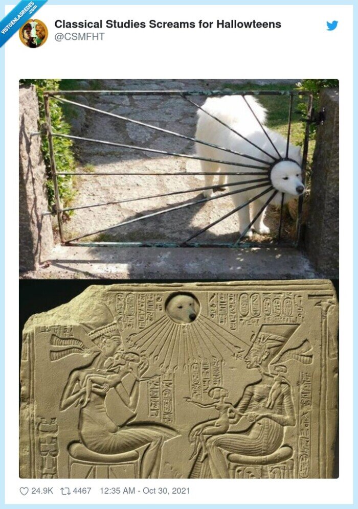 perro,jeroglífico,adorar