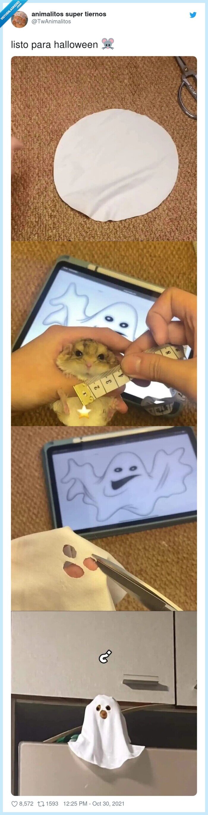 halloween,listo,fantasma,hamster