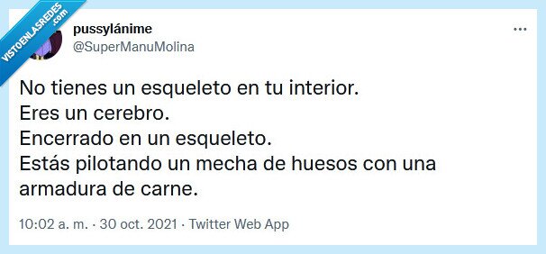 mecha,esqueleto,cerebro